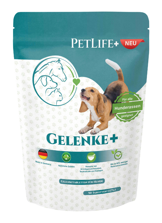 Gelenke +