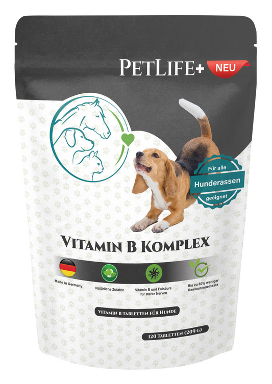 Vitamin B Komplex